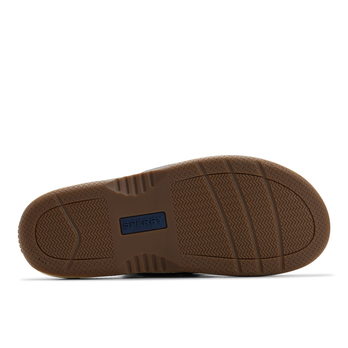 Baitfish Thong Sandal image 5